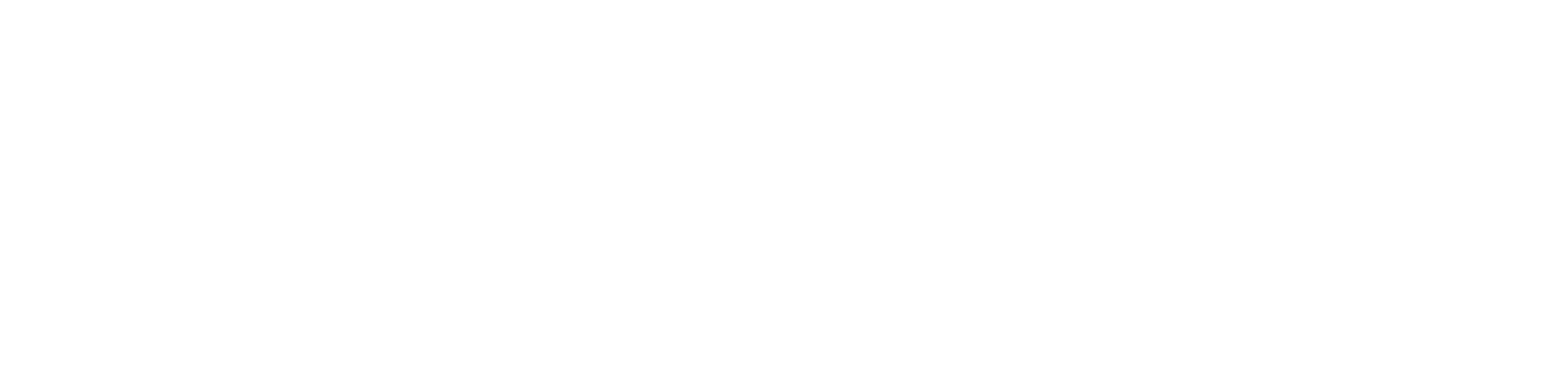 Güney Paslanmaz logosu